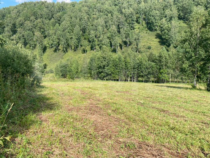 Участок 1,6 га (СНТ, ДНП)