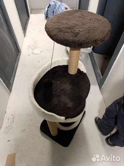 Когтеточка бу