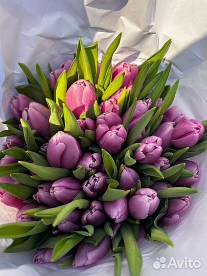 Тюльпаны к 8 марта опт, розница