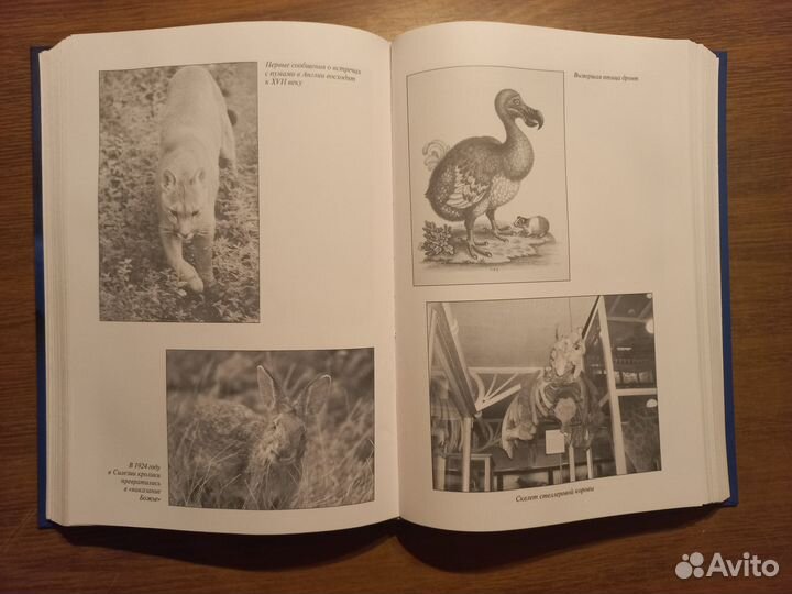 Энциклопедия аномальных явлений мира Непомнящий нн