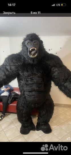 Горилла с футболкой