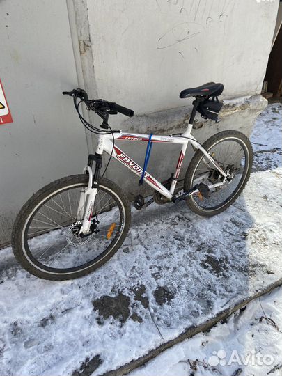 Аренда Велосипедов