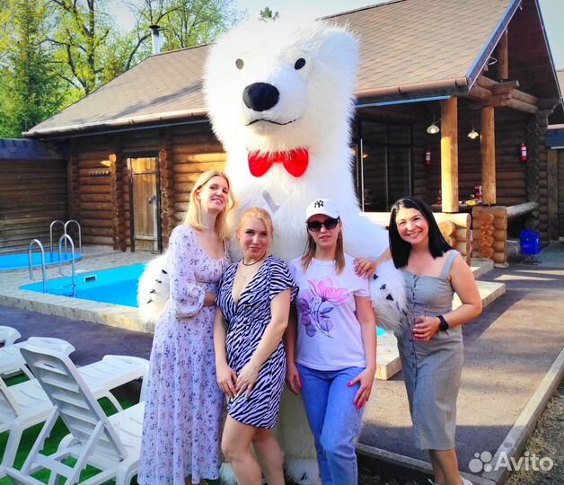 Белый мишка поздравление. Аниматор. Медведь