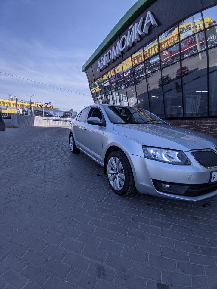 Skoda Octavia: фото владельца