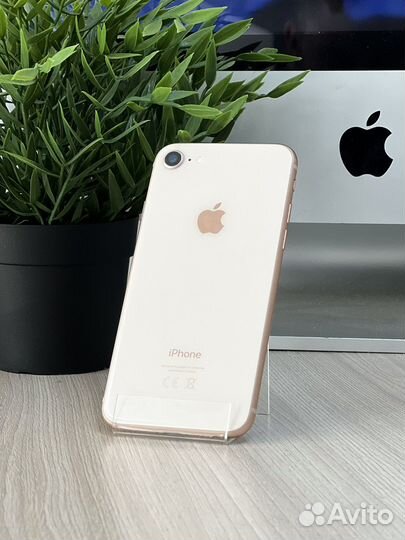iPhone 8, 64 ГБ