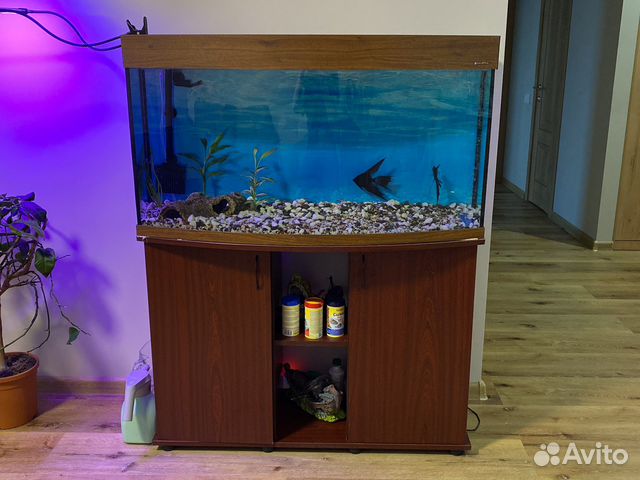Аквариум Aqua Plus 180 литров купить в Москве | Животные и зоотовары ...