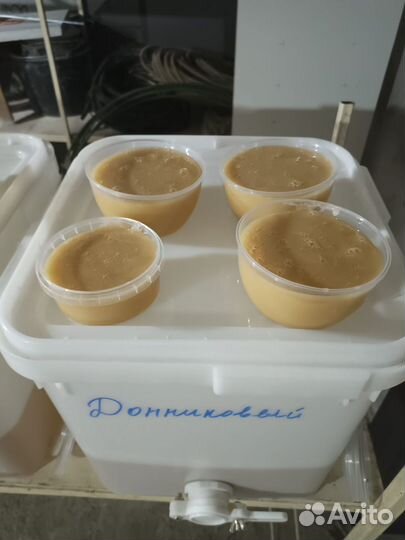 Натуральный алтайский мёд