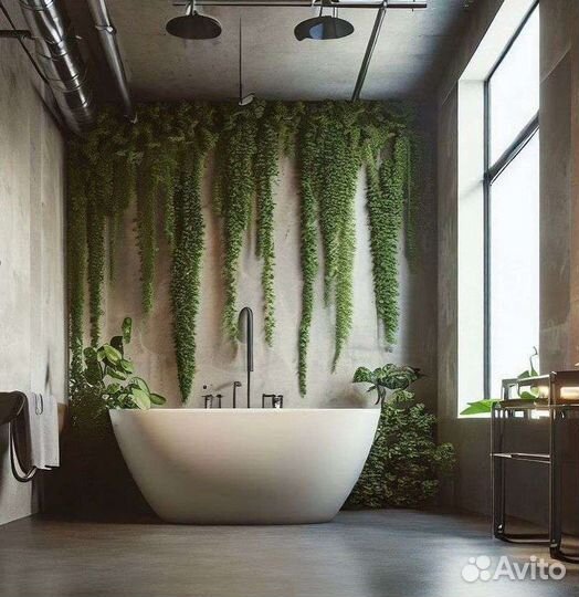 Деревья Фитостены и озеленение интерьера