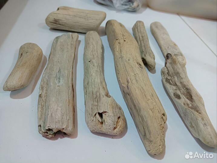 Коряги дрифтвуд