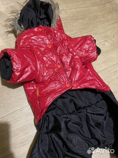 Одежда для собак средних пород