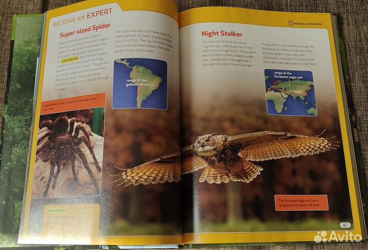 Образовательные книги на английском языке