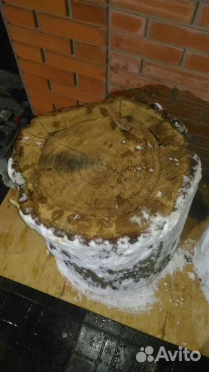 Пеньки дубовые