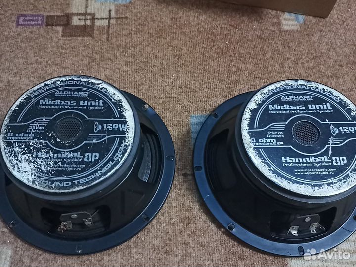 Динамики 21 см