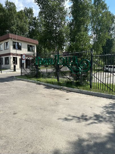 Своб. планировка, 223,1 м², 1/2 эт.