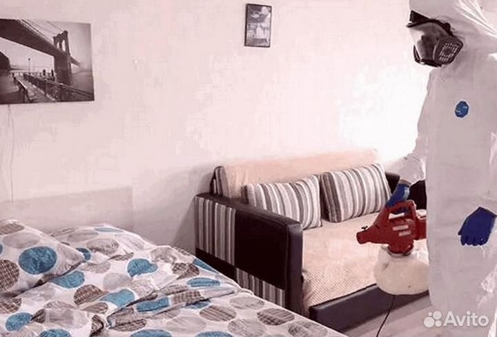 Средство от тараканов и клопов