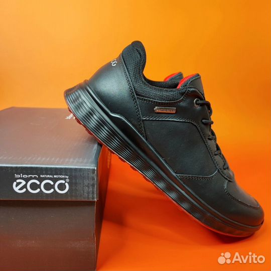 Ecco Biom