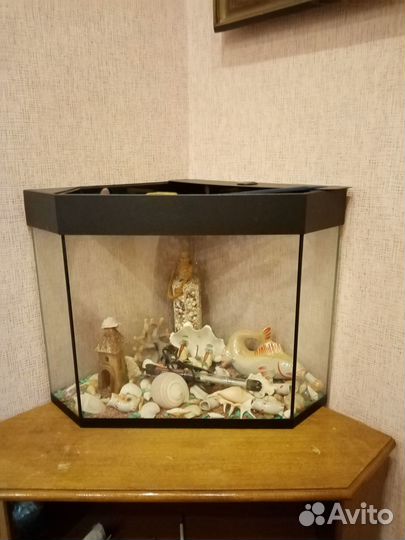 Аквариум