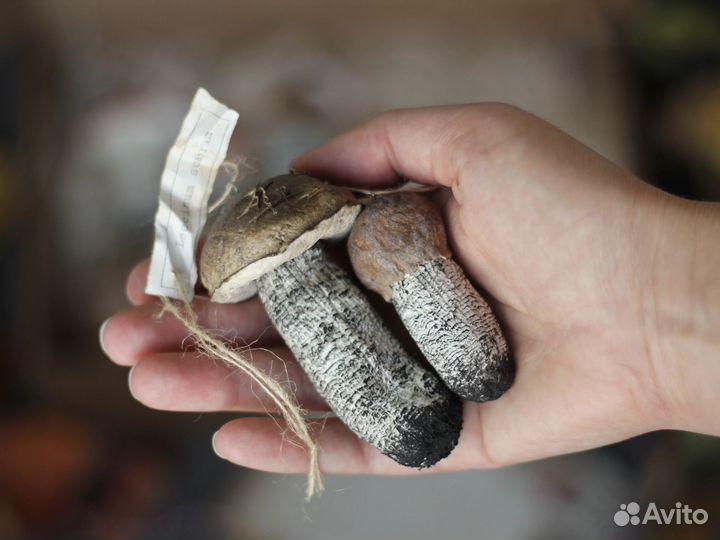 Набор елочных игрушек папье-маше 