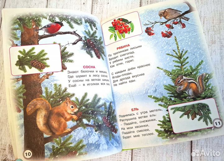 Родная природа Учебник дошкольника Степанов