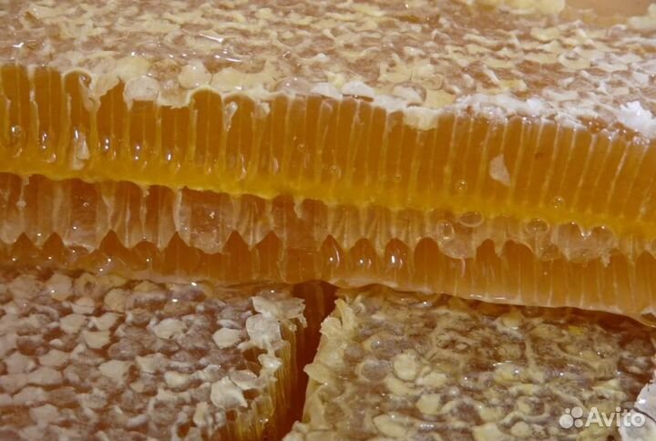 Мед в сотах