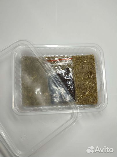 Набор для выращивания микрозелени