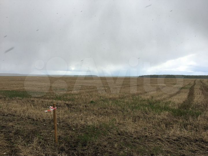 Участок 46 га (СНТ, ДНП)