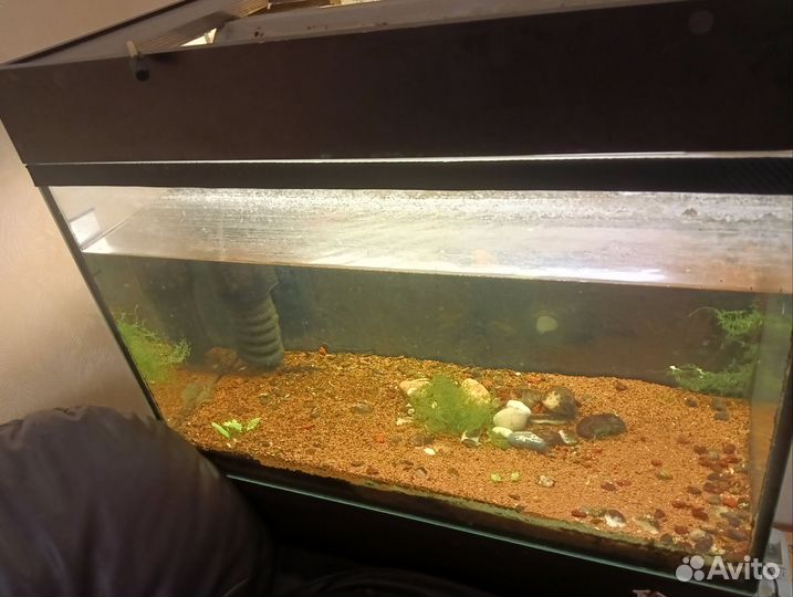 Аквариум, тумба, подсветка, компрессор