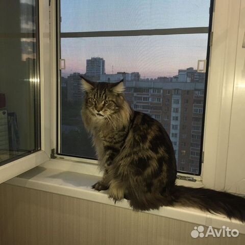 Москитные сетки