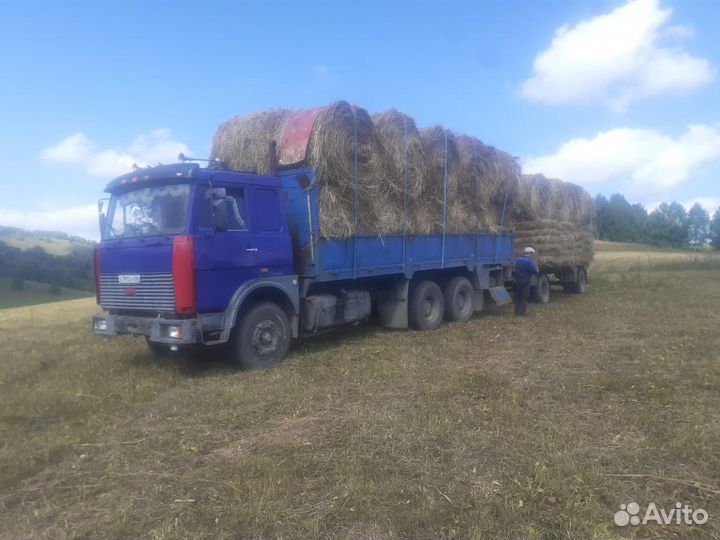 Сено, солома, зелёнка