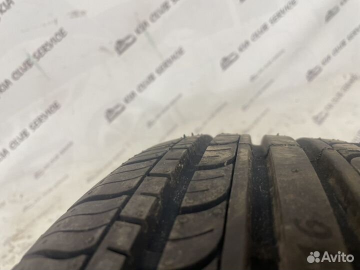 Evergreen EH23 205/55 R16 91V