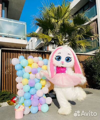 Аниматоры/шоу программы/квесты/пузыри