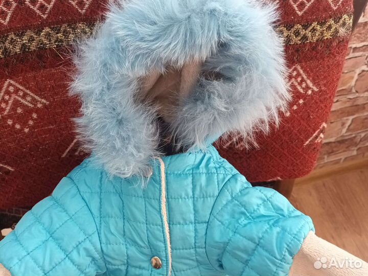 Зимний костюм для собак