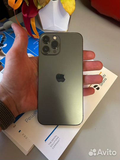 iPhone 12 Pro Max, 256 ГБ