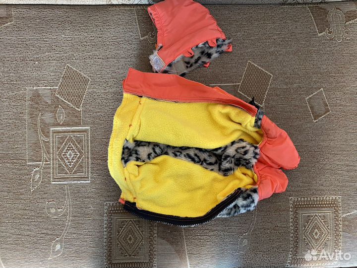 Одежда для маленьких собак