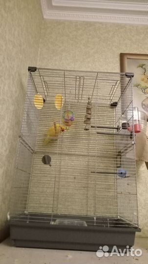 Клетка для попугая