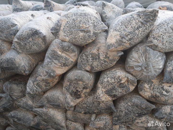 Отработанные грибные блоки