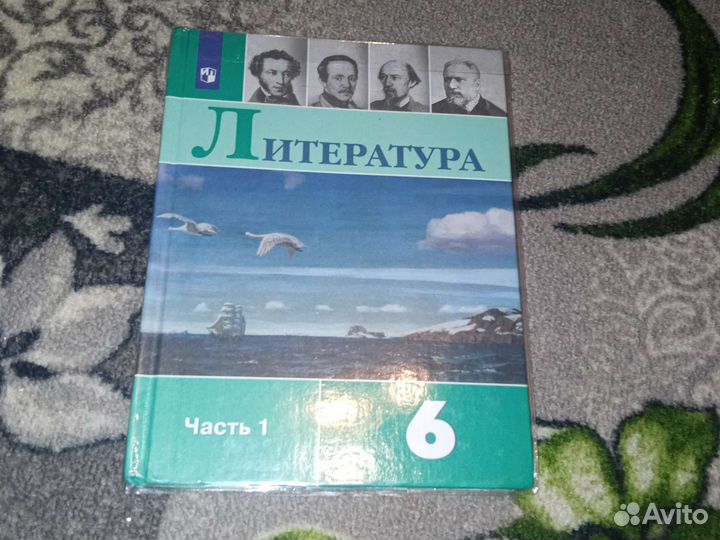 Учебник Литература 6 класс (2 части)
