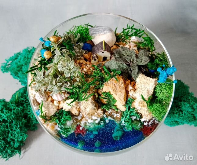 Флорариум Домик у моря