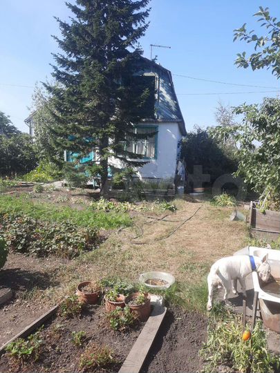 Дача 20 м² на участке 7,8 сот.