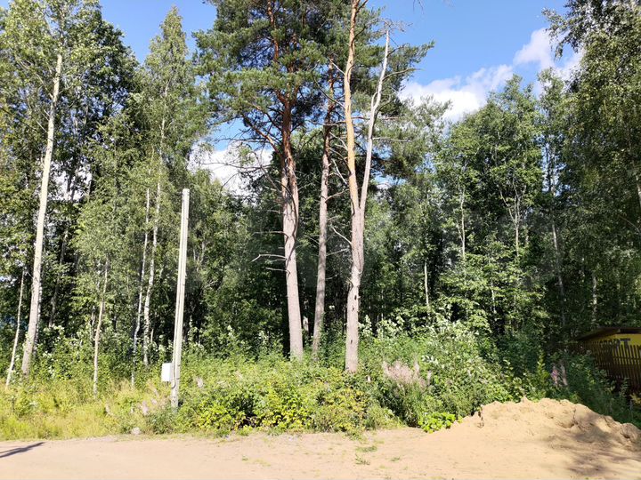 Участок 37 сот. (ИЖС)