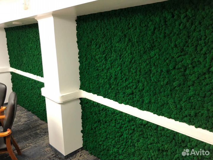 Стабилизированный мох-мох в интерьере