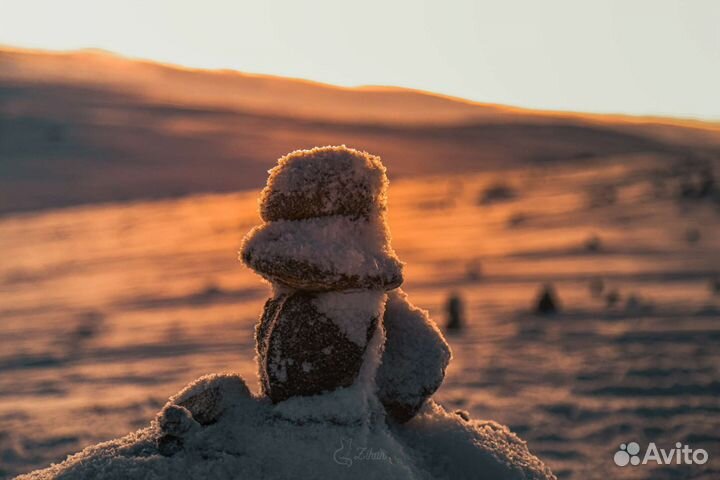 Туры в Териберку