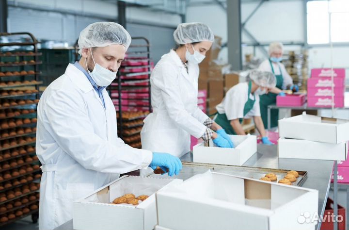 Разнорабочий (44)