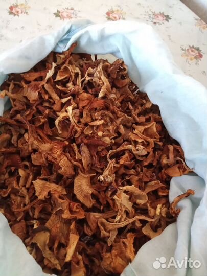 Грибы лисички