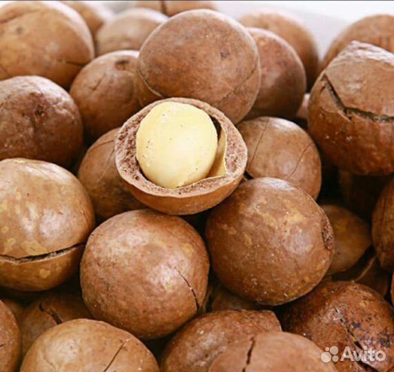 Макадамия орех