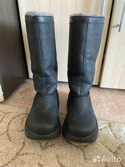 Сапоги ugg