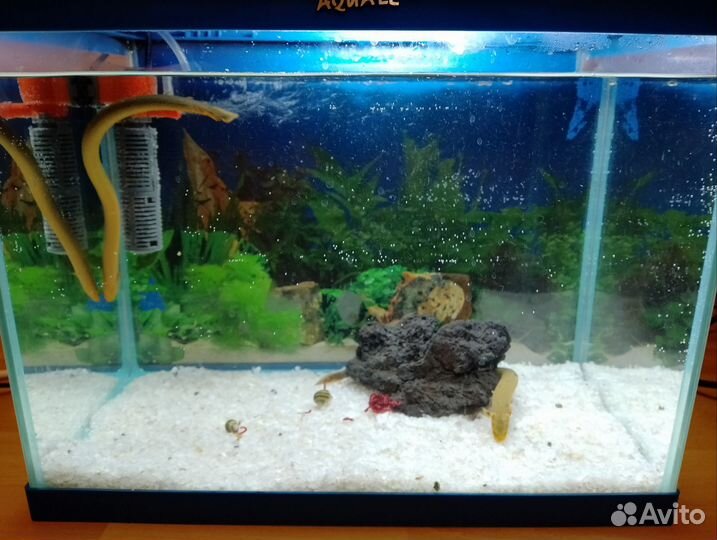 Аквариум с рыбками бу