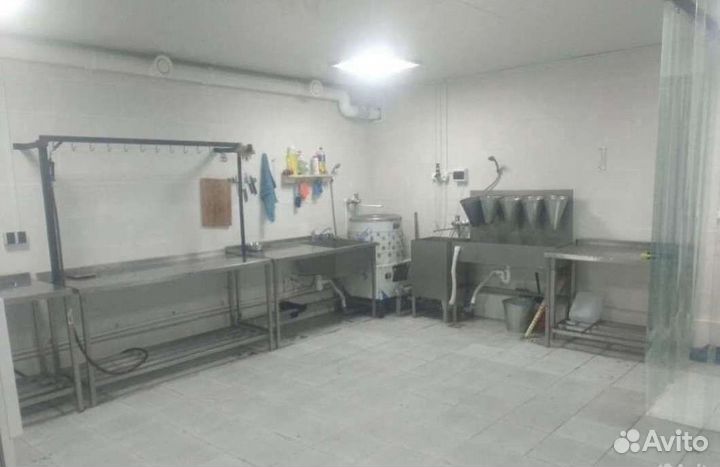 Резка птиц. Забой птиц с проживанием