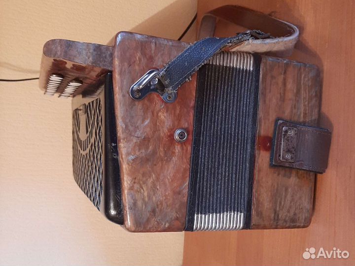 Гармонь Чайка 2