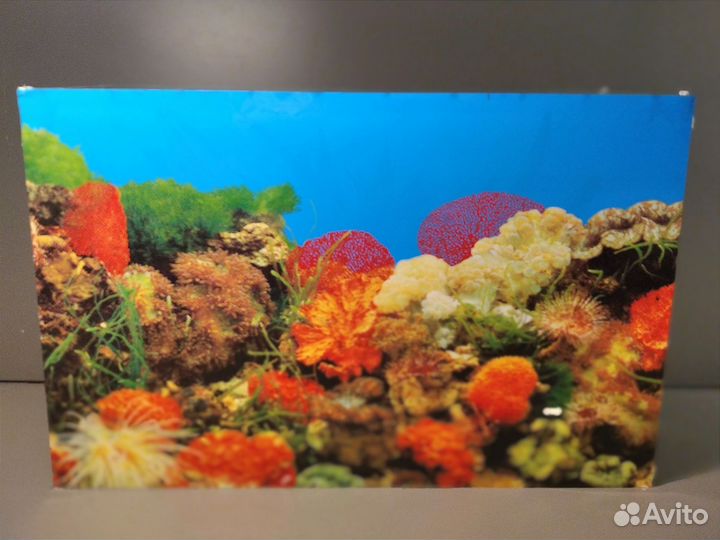 Аквариум новый